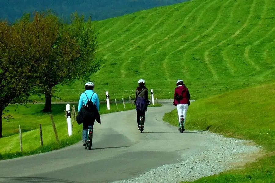 Trottinett-Fahrt durch grüne Landschaft